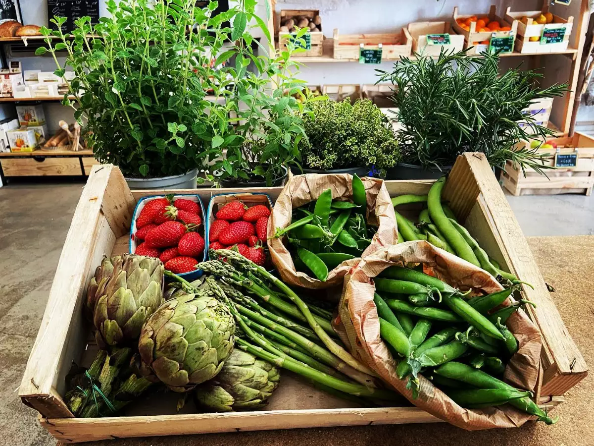 Paniers – Panier de légumes et fruits  (petit)