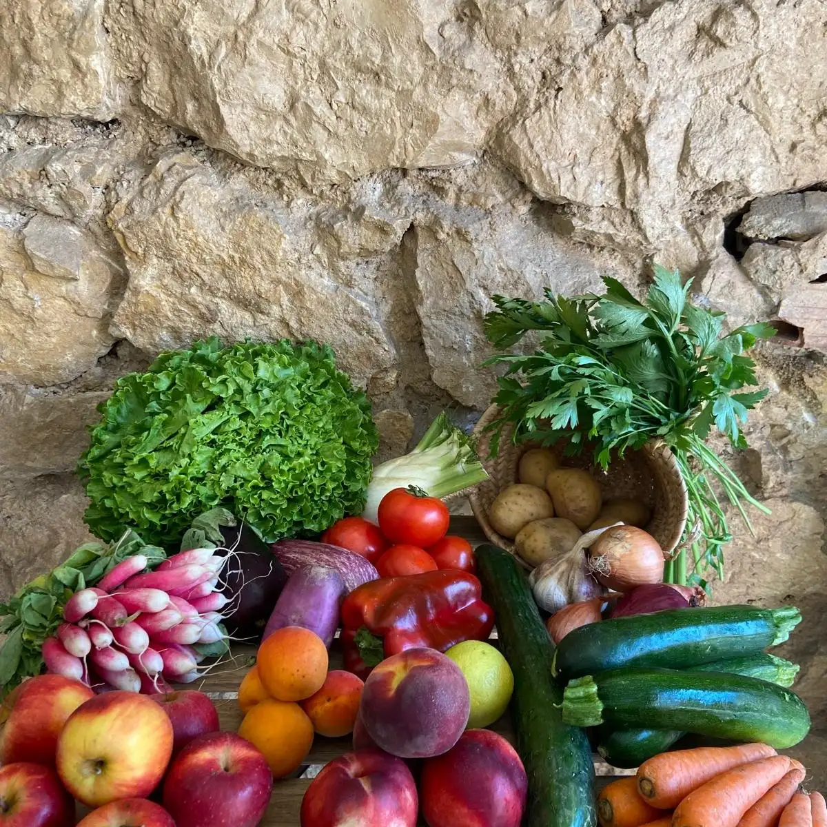 Paniers-  Panier de légumes et fruits  (gros)